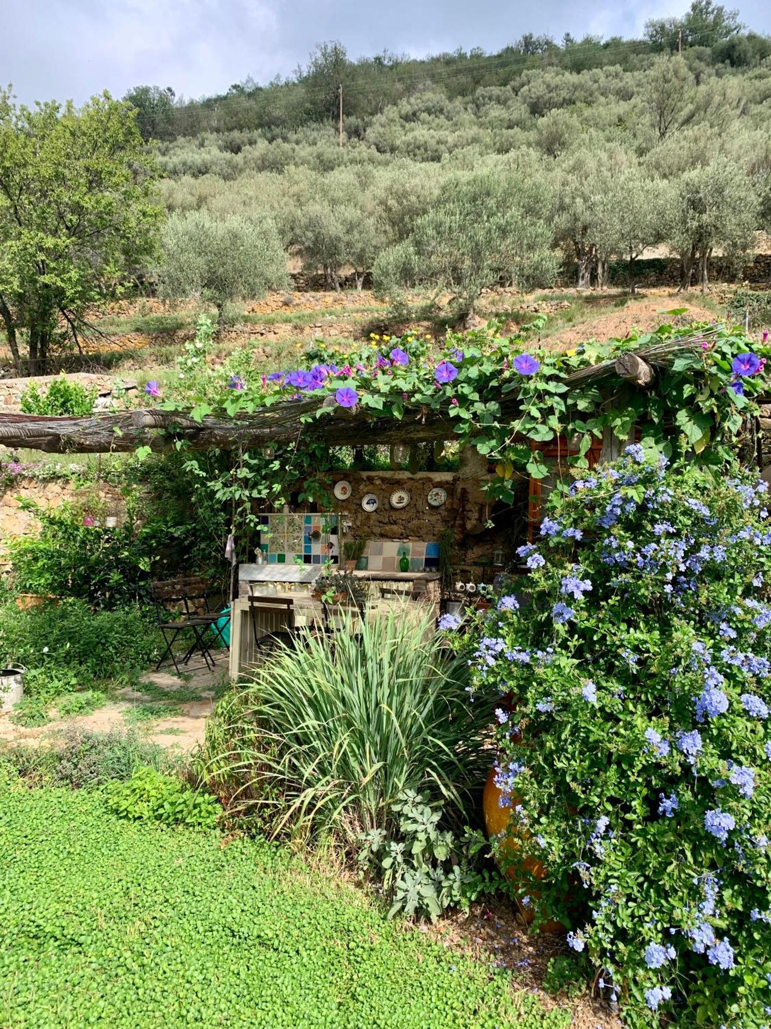B&B Ca De Badin Noli Buitenkant foto