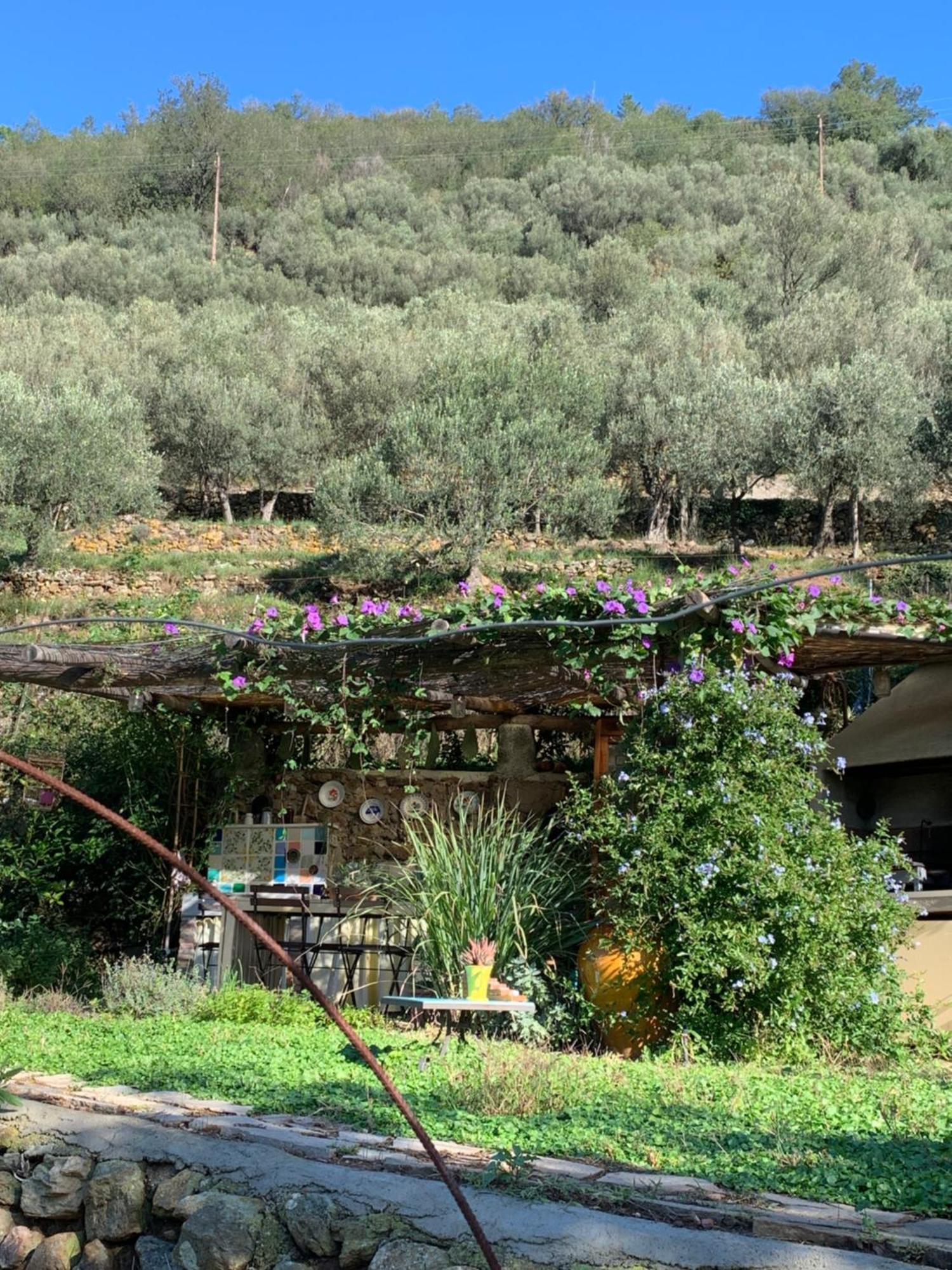 B&B Ca De Badin Noli Buitenkant foto