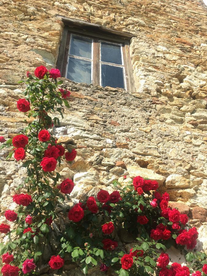 B&B Ca De Badin Noli Buitenkant foto